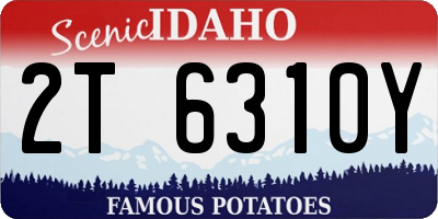 ID license plate 2T6310Y