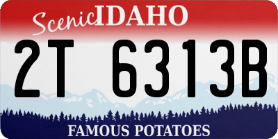 ID license plate 2T6313B