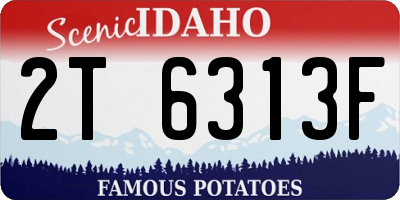ID license plate 2T6313F