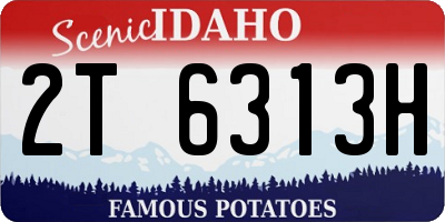 ID license plate 2T6313H