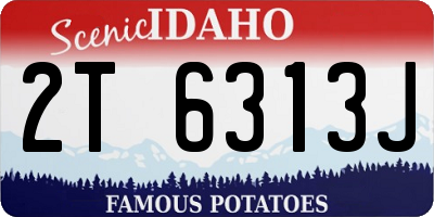 ID license plate 2T6313J