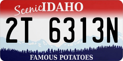 ID license plate 2T6313N