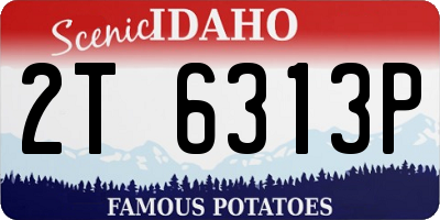 ID license plate 2T6313P