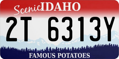 ID license plate 2T6313Y