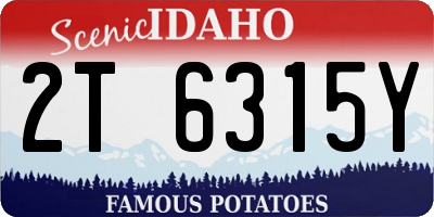 ID license plate 2T6315Y