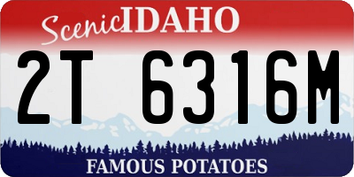 ID license plate 2T6316M