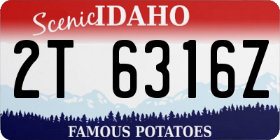 ID license plate 2T6316Z