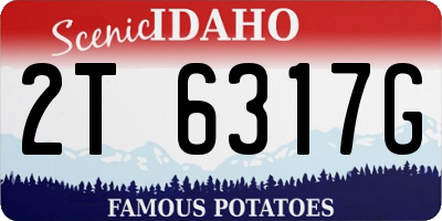 ID license plate 2T6317G