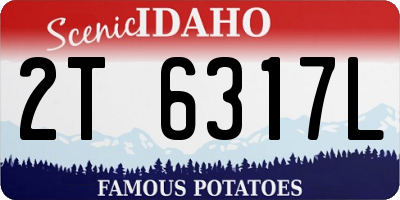 ID license plate 2T6317L