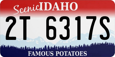 ID license plate 2T6317S