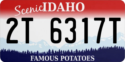 ID license plate 2T6317T