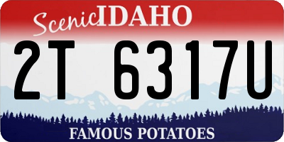 ID license plate 2T6317U