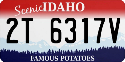 ID license plate 2T6317V
