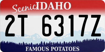 ID license plate 2T6317Z