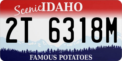 ID license plate 2T6318M