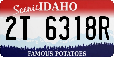 ID license plate 2T6318R