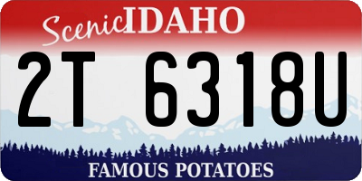 ID license plate 2T6318U
