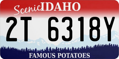 ID license plate 2T6318Y