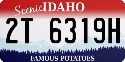 ID license plate 2T6319H