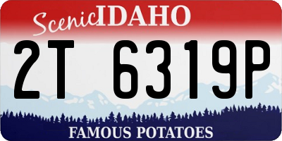 ID license plate 2T6319P