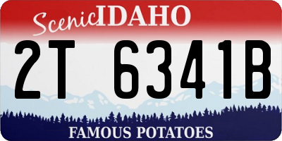 ID license plate 2T6341B