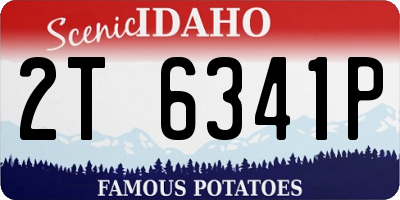 ID license plate 2T6341P
