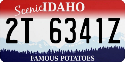 ID license plate 2T6341Z