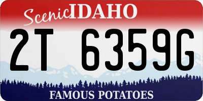 ID license plate 2T6359G