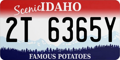 ID license plate 2T6365Y