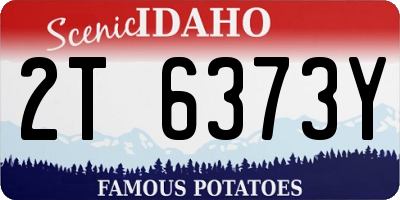 ID license plate 2T6373Y