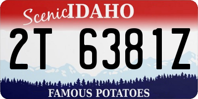 ID license plate 2T6381Z