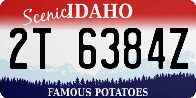 ID license plate 2T6384Z