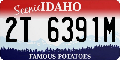 ID license plate 2T6391M