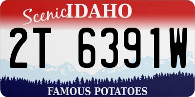 ID license plate 2T6391W