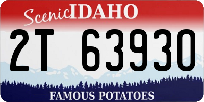 ID license plate 2T6393O