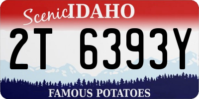 ID license plate 2T6393Y