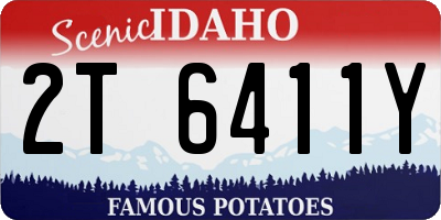 ID license plate 2T6411Y