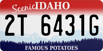 ID license plate 2T6431G