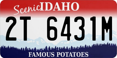 ID license plate 2T6431M