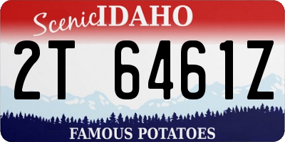 ID license plate 2T6461Z