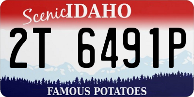 ID license plate 2T6491P