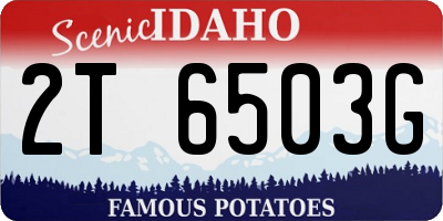 ID license plate 2T6503G