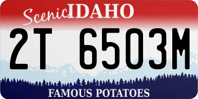 ID license plate 2T6503M