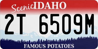 ID license plate 2T6509M