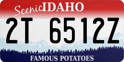 ID license plate 2T6512Z
