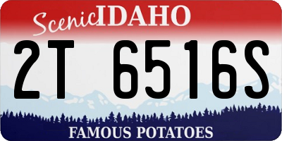 ID license plate 2T6516S