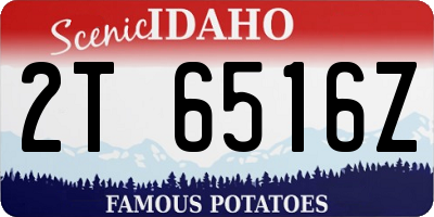 ID license plate 2T6516Z
