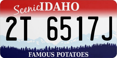 ID license plate 2T6517J