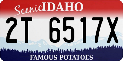 ID license plate 2T6517X