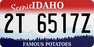 ID license plate 2T6517Z